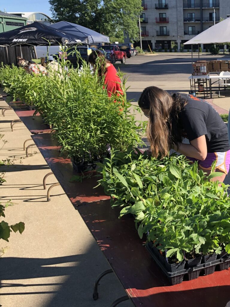 volunteers labeling plants in trays