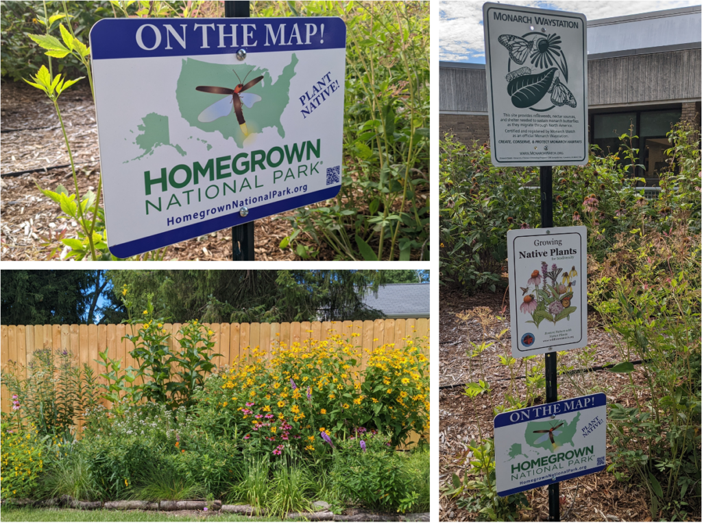 native plant garden with sign promoting the Homegrown National Park initiative