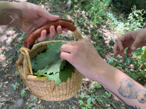 basket with plant leaves foraged by human hands