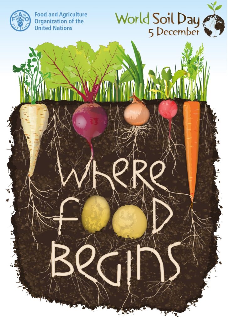 illustration of soil profile with vegetables growing in it and words World Soil Day, Where food begins