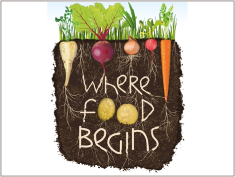 illustration of soil with vegetables growing in it and words "where food begins"